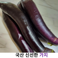 국내산 신선한 햇가지 2kg 5kg 10kg 국산 싱싱한 가지 특품 못난이 햇가지 생가지 프리미엄 가정용 업소용, 2개