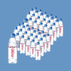 롯데칠성 에비앙 500ML 48펫, 48개