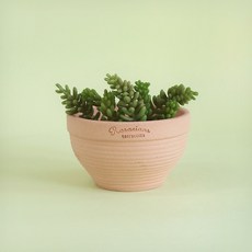 테라코타화병
