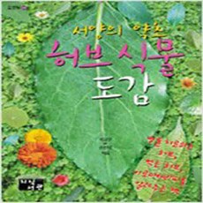 (새책) 허브 식물 도감