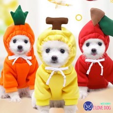 따뜻한 과일 모형 강아지 겨울 옷 후드 스웨터 애견의상 WI054DG, 초록 청개구리