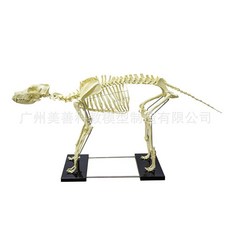 동물실험관련책