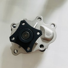Haima Fstar 1.2 용 워터 펌프, 1개