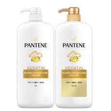 팬틴 대용량 샴푸린스 2종 모이스처 극손상 샴푸 컨디셔너 1200ML 2개, 1L, 1개