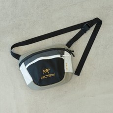 아크테릭스빔즈