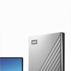 wd외장하드mac