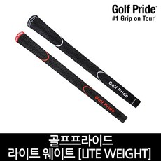 골프프라이드마이크로