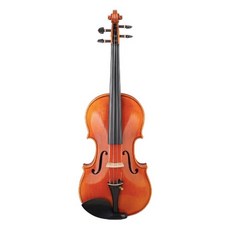  파가니니 바이올린 PVS-202 