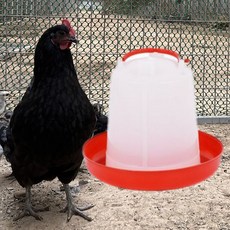 스카이패치 자동 물통 병아리 급수기, 15L, 1개, 빨강