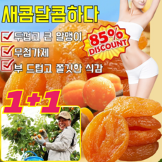 1+1【달콤하고 부드러움】무첨가 씨 없는 말린 홍살구 유기농 건살구 씨없는 홍살구 과일 설탕에 절인 살구, 250g*(1+1), 2개