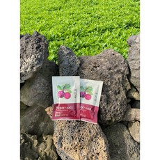 제주산 100% 찐한 레드비트즙 100ml 30개입