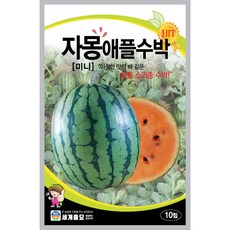 자몽 애플 수박 씨앗 apple watermelon seeds 10알