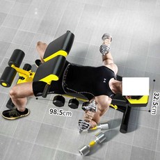 로만체어 백익스테이션 뱃살운동기구 코어 허리 홈트