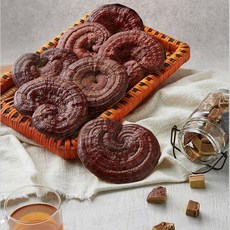 국산 영지버섯 효능 차 원형 영지 500g 1kg, 1개