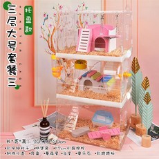 햄스터공화국