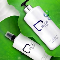 더트블루 더스크 남성 올인원 기능성 화장품 500ML 1000ML 스킨 로션 에센스 클렌저 자기초화장품 그루밍족, 데이로션, 1개