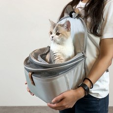 돔돔이동장