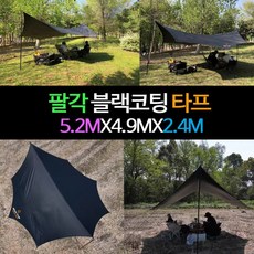 초대형 타프 블랙코팅 대형타프 타프스크린 타프쉘 대형 6MX8M 블랙코팅 타프 실버코팅 그늘막타프 렉타 윈드스크린 장박덮개용 장박텐트 캠핑타프 방수타프 타포린백, 검정색(블랙코팅)