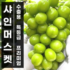 영천샤인머스켓