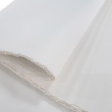 휘앙새천장지