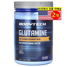 BodyTech 글루타민 파우더 무맛, 450g, 2개