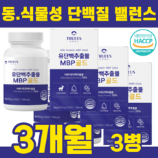 mbp메타정
