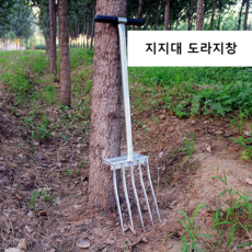 지지대도라지창