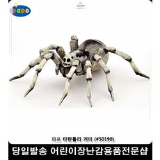수집품 선물 타란튤라거미 자연과학완구 자연완구 수집동물모형 학습완구 취미키덜트