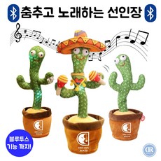 화분인형