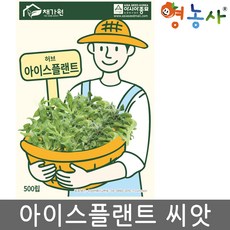 아이스플랜트씨앗 500립 짭짤한맛, 단품