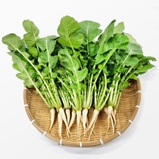 사계절청년농부 아삭한 포천 열무 2kg 4kg 얼갈이 배추 세트 구성, 1세트, 열무 1kg 얼갈이 1kg