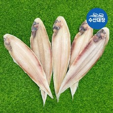 박대장