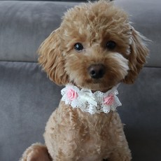 강아지스파머리띠