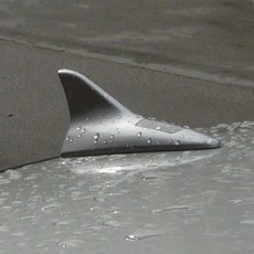 위성안테나커버