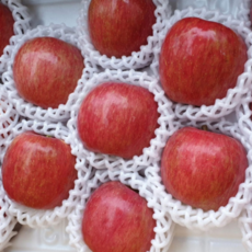 맛있는사과 경북 안동 사과 홍로 사과선물세트 농장직송 사과5kg, 안동사과 소과 5kg