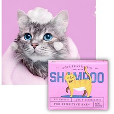 강아지블랙헤드