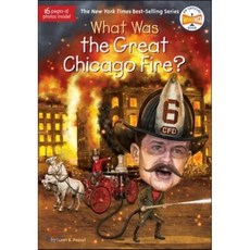 What Was the Great Chicago Fire?, Penguin Workshop