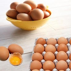  [KT알파쇼핑]갑봉이네 무항생제 신선한 오늘 낳은 계란 대란 60구, 4개 