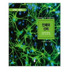 인체의신비