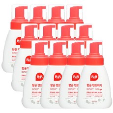 비앤비거품핸드워시