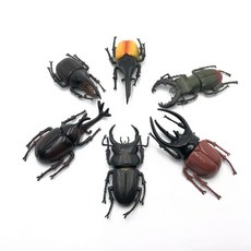 곤충 벌레 모형 6개 세트 장수풍뎅이 사슴벌레 피규어 교구, 1세트