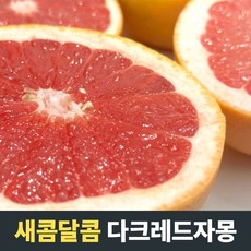 [새콤달콤] 이스라엘 다크루비 레드자몽 중과 대과 이스라엘자몽 항공직수입 새콤과일 레드자몽 레드자몽대과 남아공레드자몽 자몽과일 레몬 레드자몽과일 과일 메로골드 자몽4kg