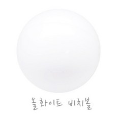 투명비치볼대형