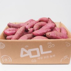 [세모농]최상품 꿀고구마 베니하루카 영암 해남 무안 고구마 3kg 5kg 10kg, 1박스, 꿀고구마 한입