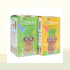 실내 잔디 인형 성장하는 머리카락 자연학습 미니화분 책상, 1개