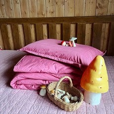 추천2 타이니코스모스
