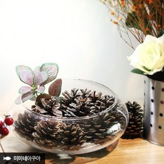 솔방울가습기