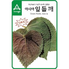 [아시아종묘/쌈씨앗종자] 아시아잎들깨(10g-약2800립), 1개