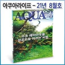 아쿠아라이프 2021년 08월호