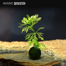 c02ddb1d6552879110f3cc8eabbdb19d59daf14d8d4531f5e4cbff13d71c.jpg